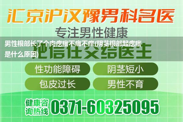 男性根部长了个肉疙瘩不痛不痒(阴茎根部起疙瘩是什么原因)