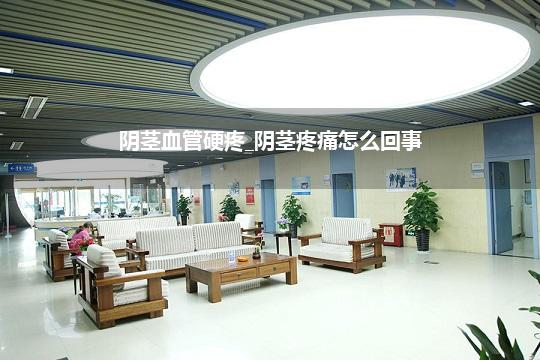 阴茎血管硬疼_阴茎疼痛怎么回事